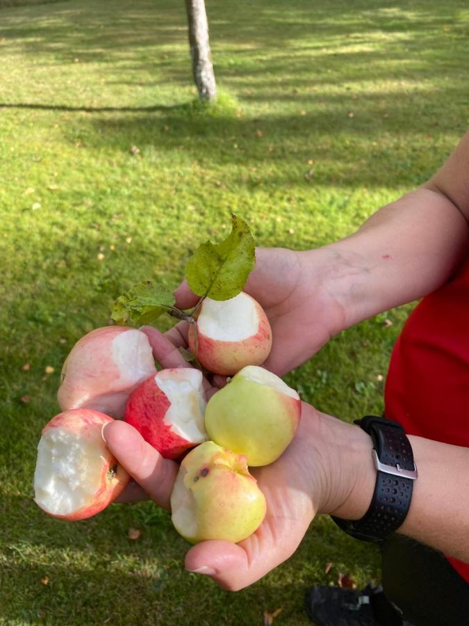 Naturnaera Hus Utanfoer Reftele Naerhet Till Isaberg Och High Chaparral Villa Екстериор снимка